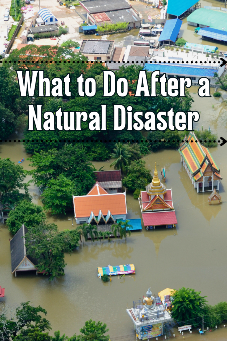 House in Turmoil: What to Do After Your Home Suffers from a Natural ...