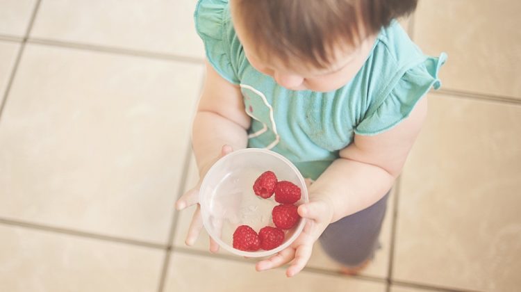 Good Habits: How to Help Your Child Eat Healthier Meals