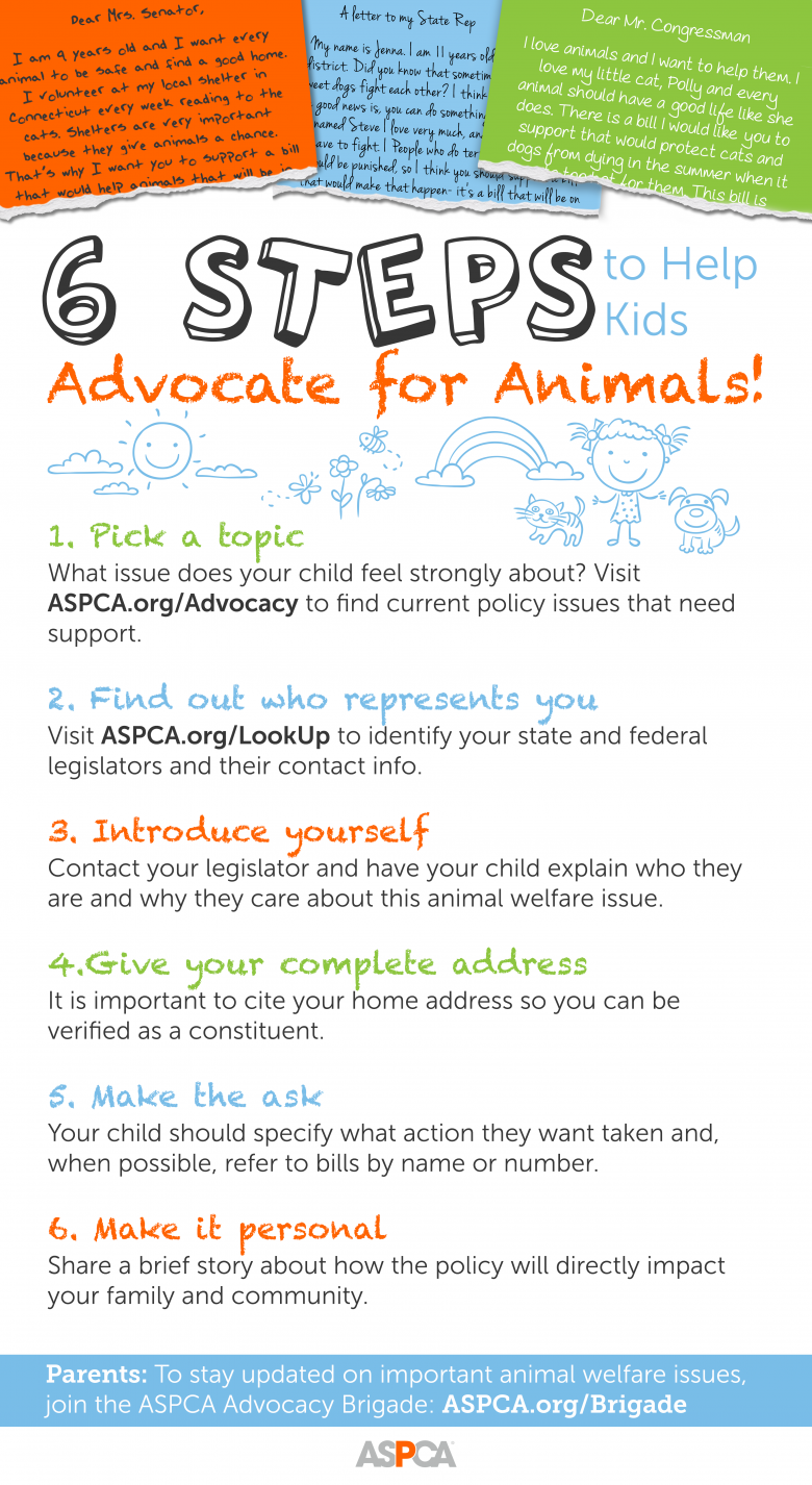 6 Steps to Advocate for Animals