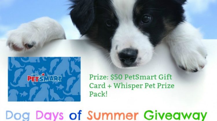 Dog Days of Summer Giveaway