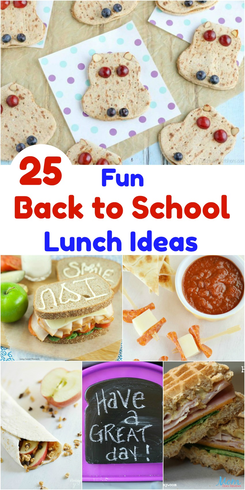 25 Fun Back to School Lunch Ideas all Kids Will Love!