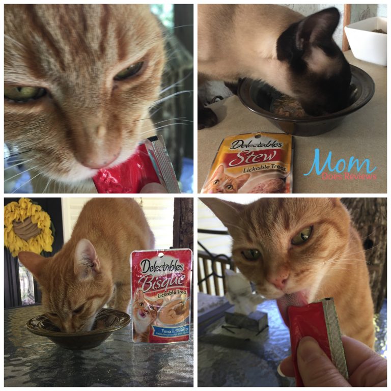 Treat Your Cat Right with Hartz Delectables Cat Treats and Just For