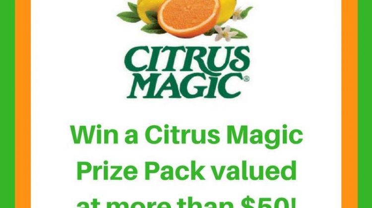 Win-Citrus-Magic