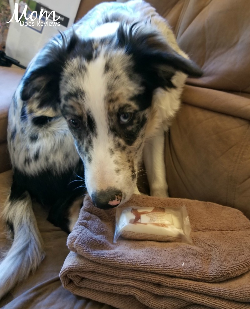 H2O products for pets