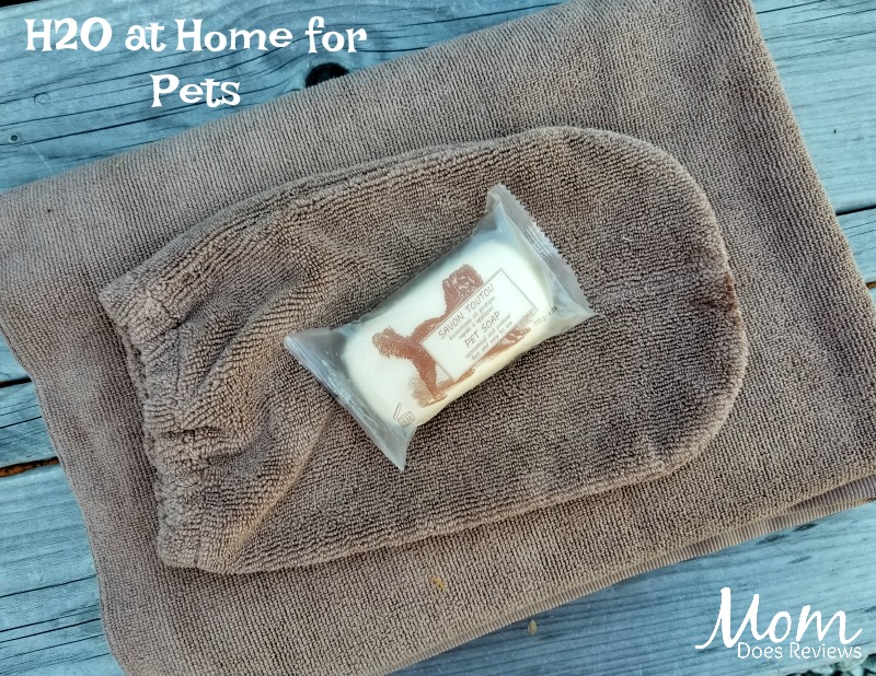 Keep Your Pets Healthy With Organic Products From H2o At