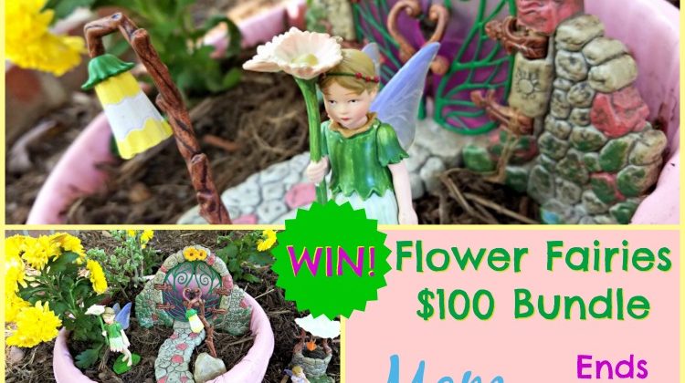 Flower Fairies Giveaway