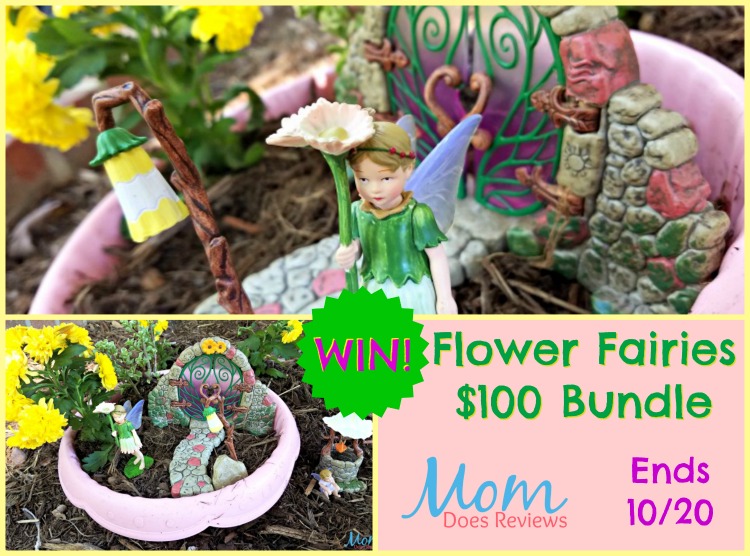 Flower Fairies Giveaway
