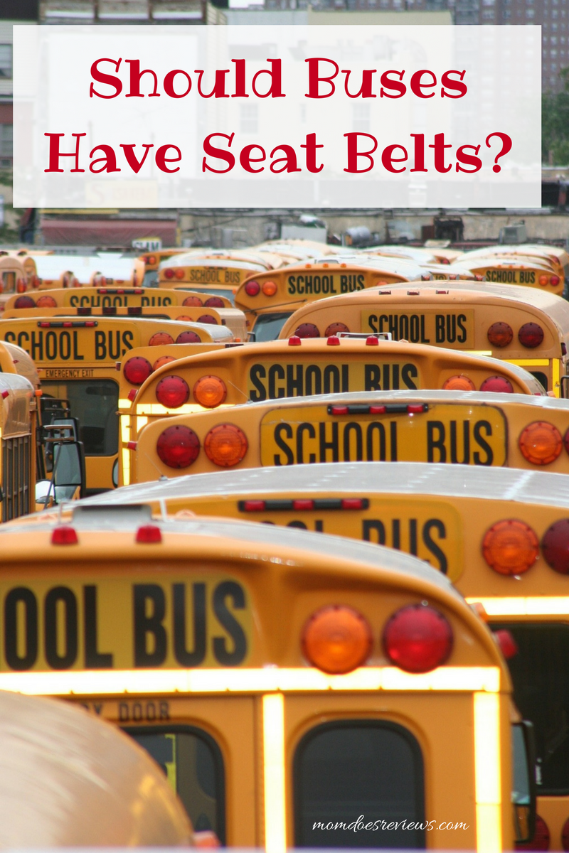 Should Buses Have Seat Belts?