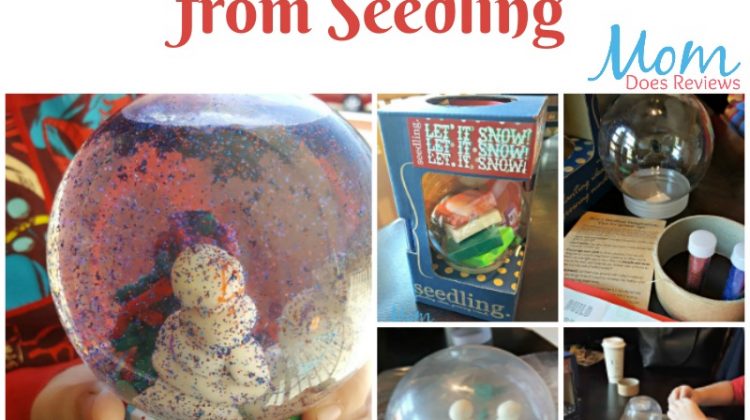 Winter Theme Crafts from Seedling