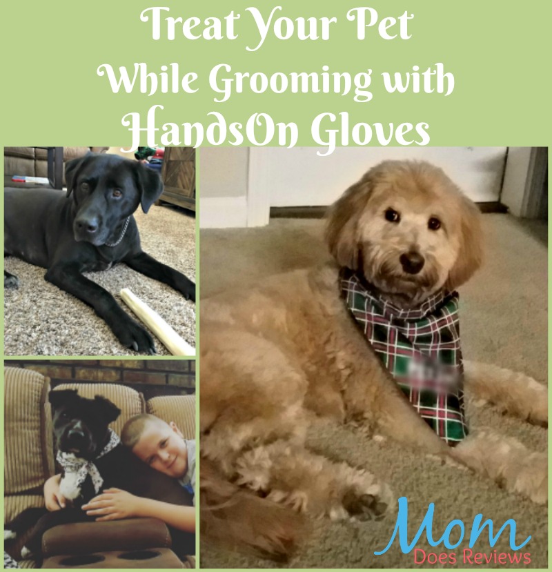 Treat Your Pet While Grooming with HandsOn Gloves