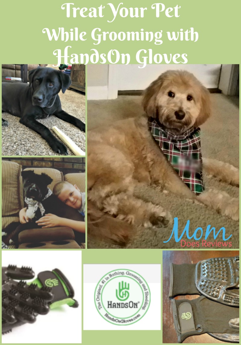 Treat Your Pet While Grooming with HandsOn Gloves