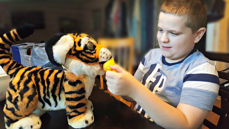 How to Tame a Tiger