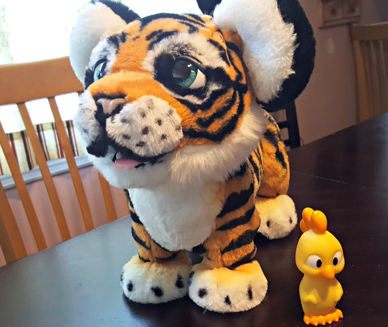 How to Tame a Tiger