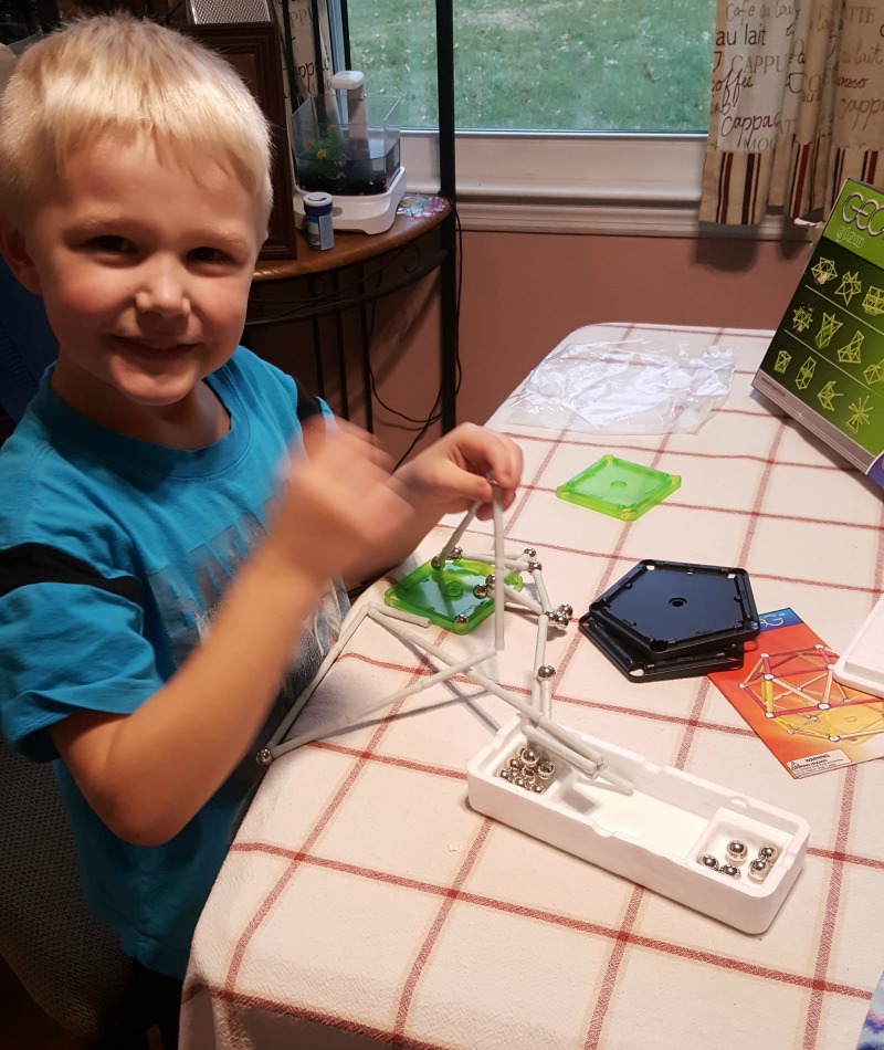 Understand the Power of Magnetism with GeoMag World