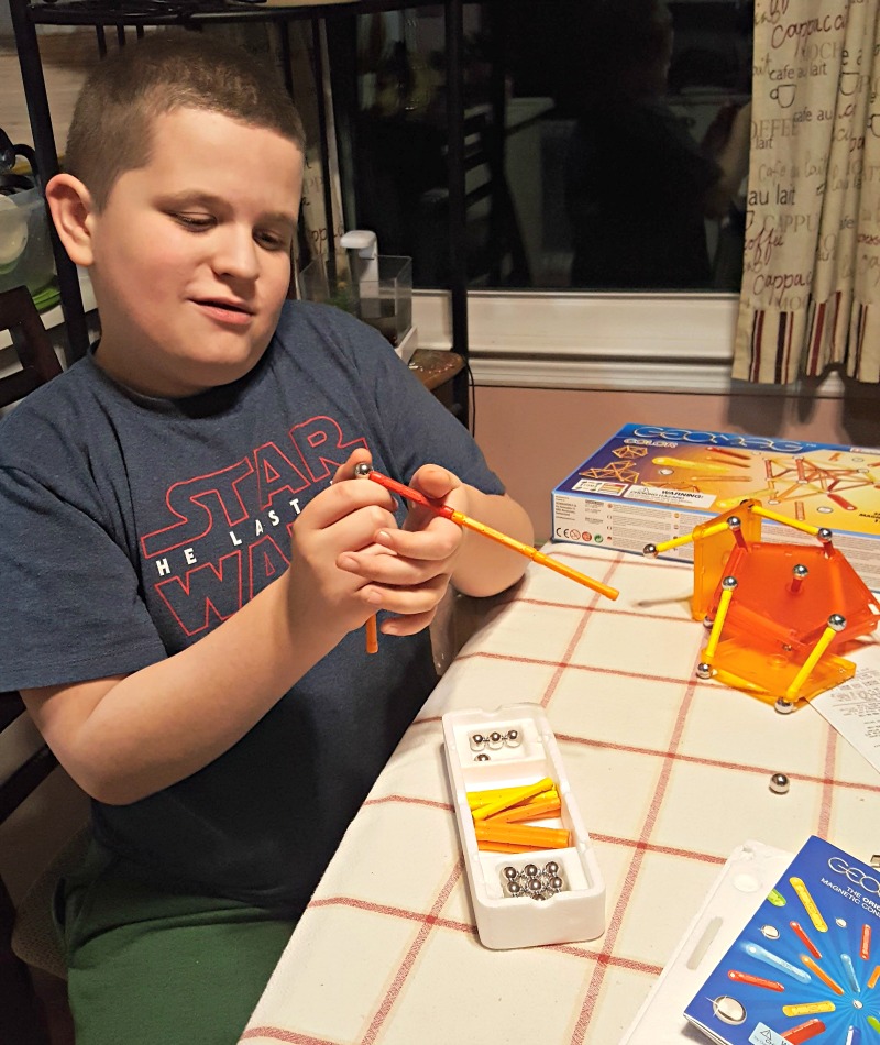 Understand the Power of Magnetism with GeoMag World