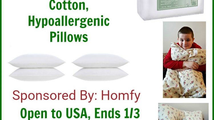 Homfy Pillow Giveaway