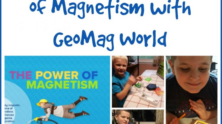 Understand the Power of Magnetism with GeoMag World