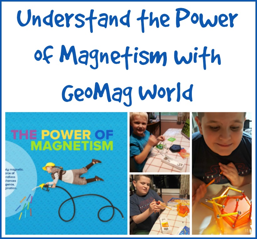 Understand the Power of Magnetism with GeoMag World