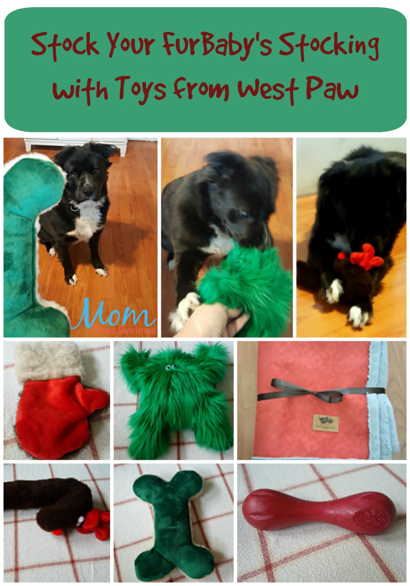 Stock Your FurBaby's Stocking with Toys from West Paw