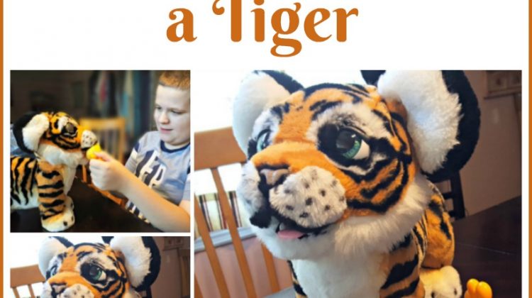 How to Tame a Tiger