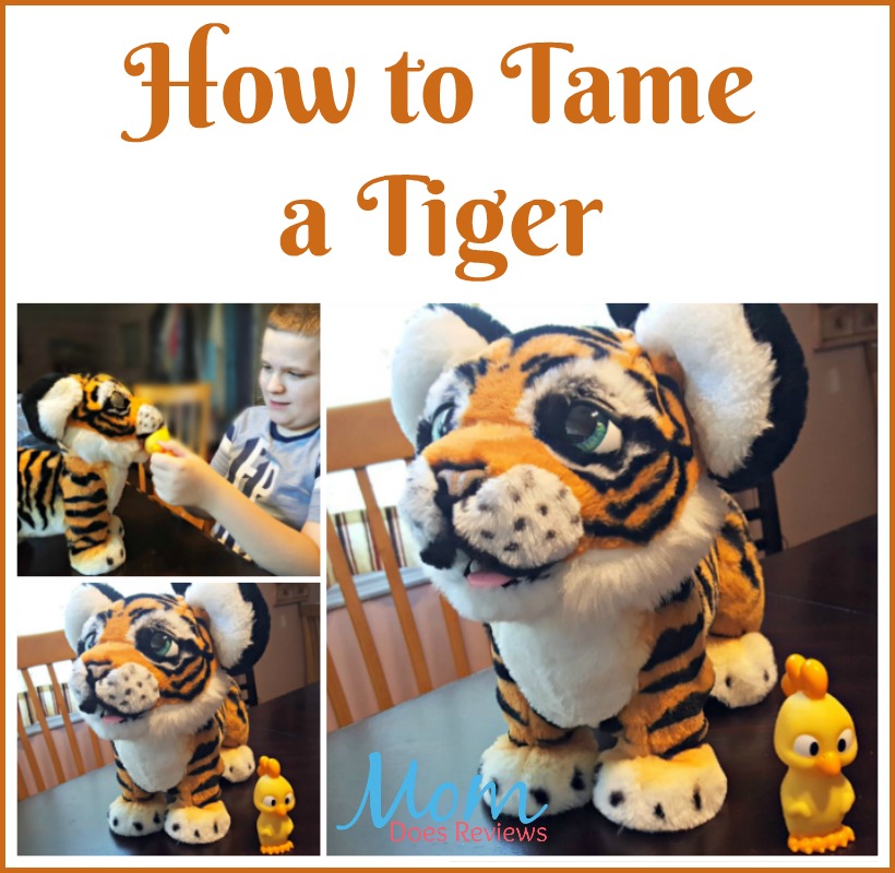How to Tame a Tiger