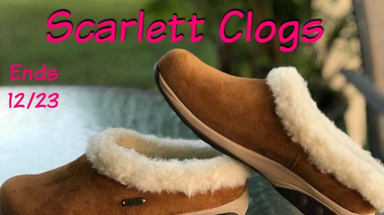 win Therafit Clogs