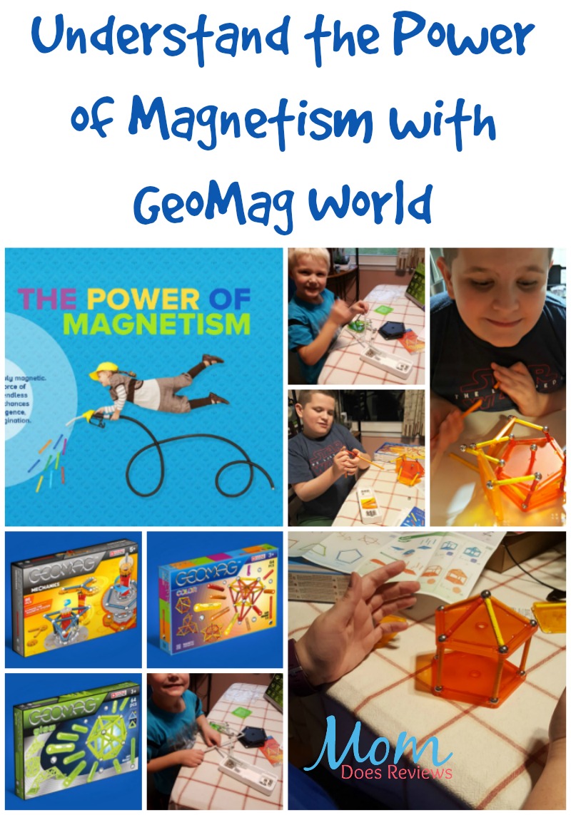 Understand the Power of Magnetism with GeoMag World
