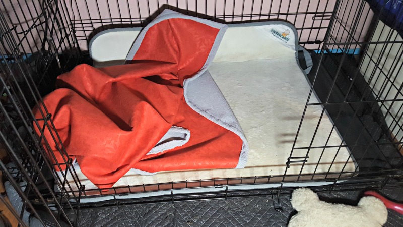 Stock Your FurBaby's Stocking with Toys from West Paw