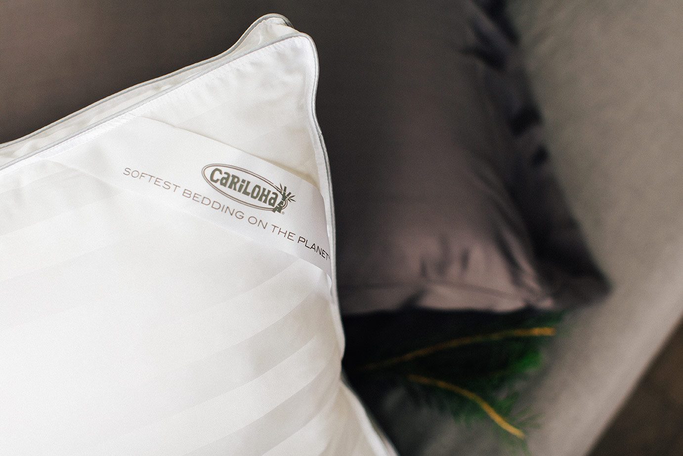 Win Cariloha Bamboo