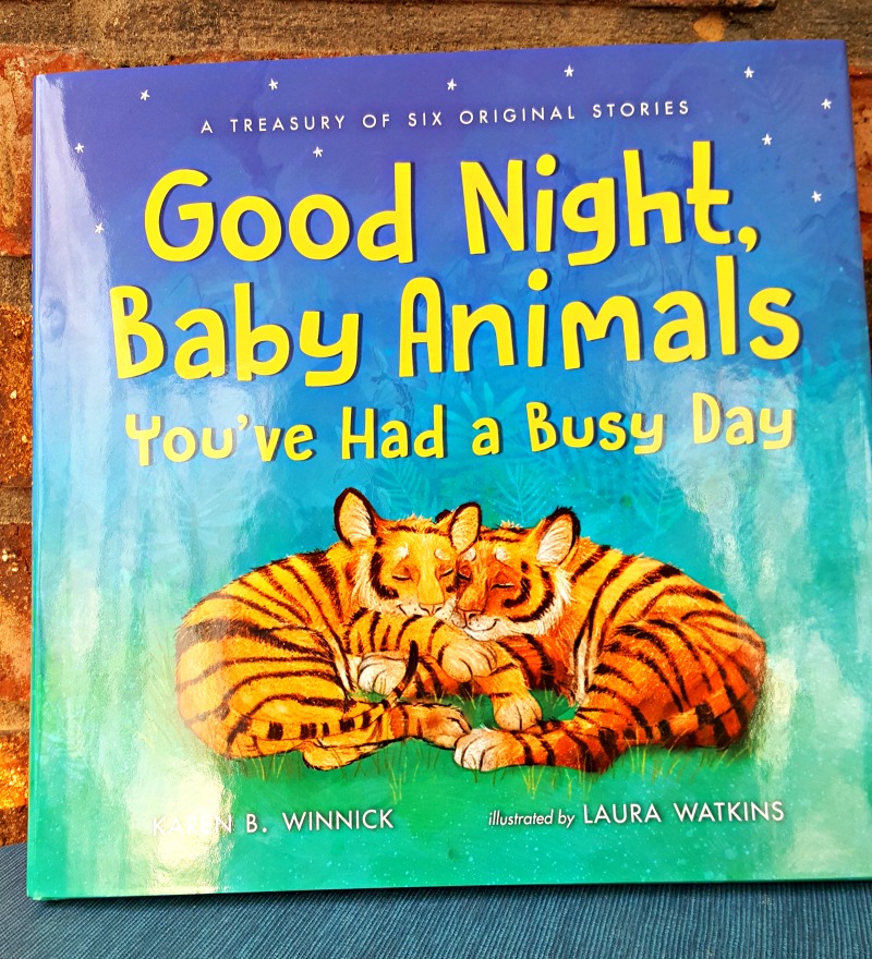 Stock Your Bookshelves with Must Read Titles!