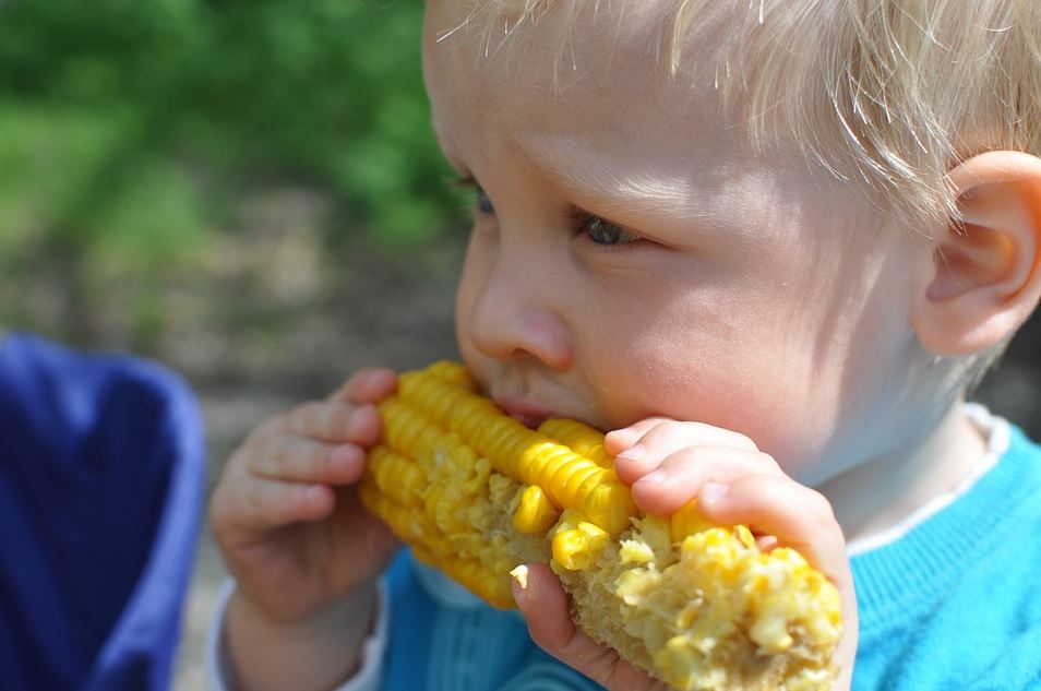 How to Get Fussy Kids to Eat Everything on Their Plate