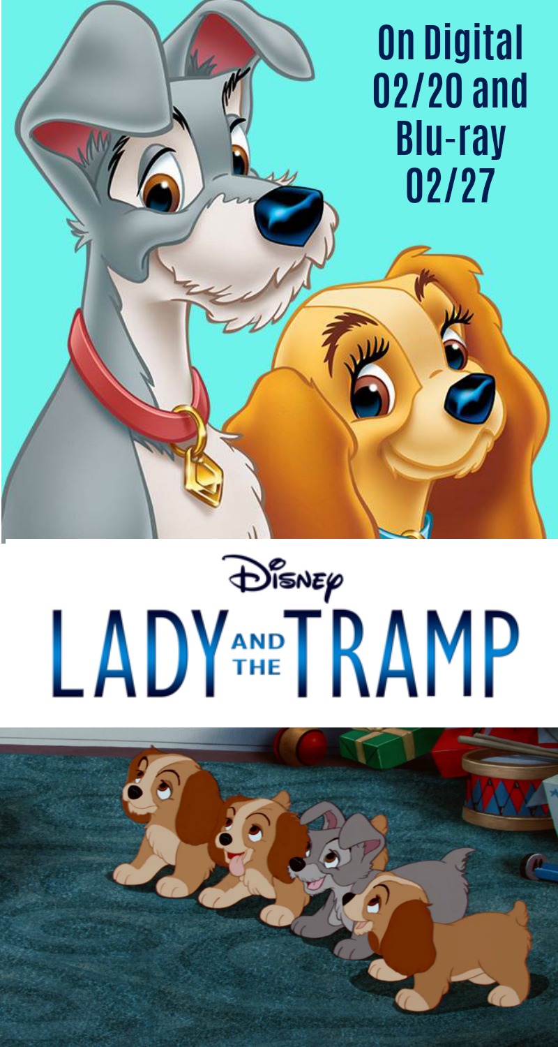 Lady and the Tramp- Fall in Love Again!