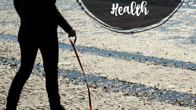 3 Ways Pets can Improve Your Cardiovascular Health