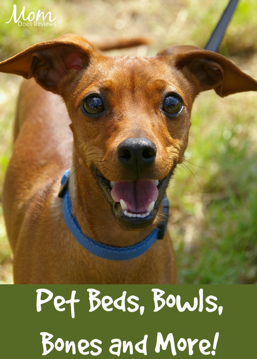 Pet Beds, Bowls, Bones and More!