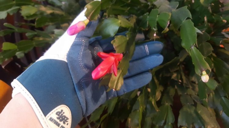 Protect Your Hands with Digz Gloves #EasteronMDR