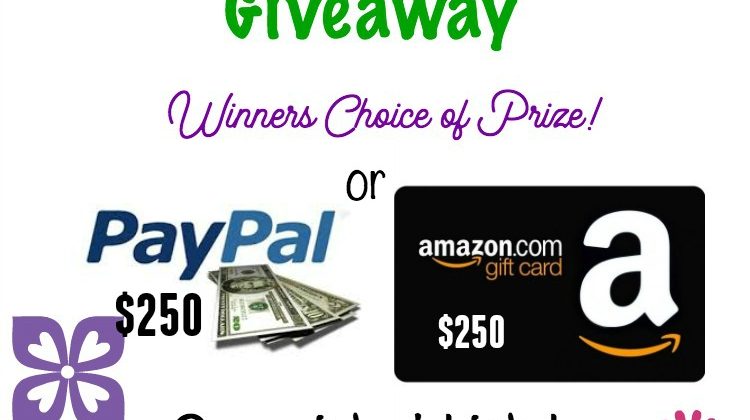 $250 PayPal or Amazon GC