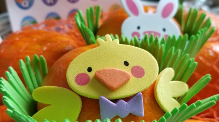 Halos Easter Chick Craft