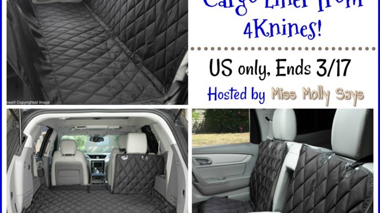 Win 4Knines Cover