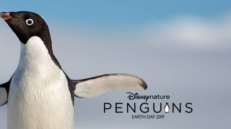 Disneynature’s PENGUINS Launches First Trailer to Celebrate Earth Day #DisneynaturePenguins