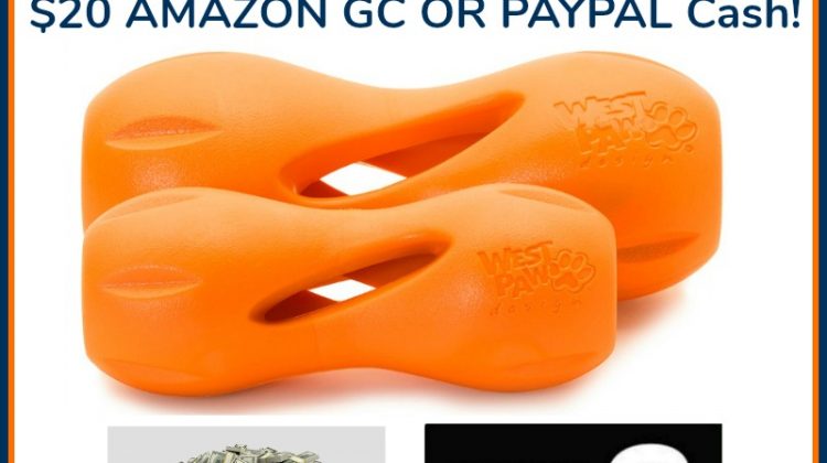 Qwizl dog toy giveaway