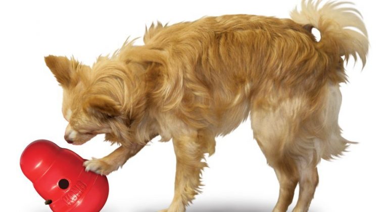 Kong Wobbler