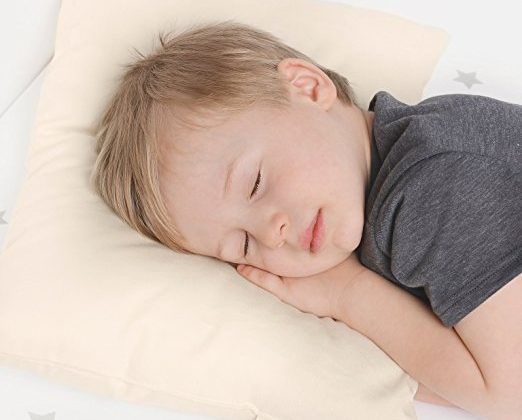 5 Important Tips to Help You Buy the Right Organic Pillow for Your Toddler
