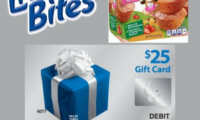 Win $25 Visa GC and LIttle Bites