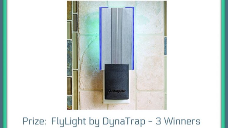 Chase the Flies Away Giveaway! Win FlyLight DynaTraps