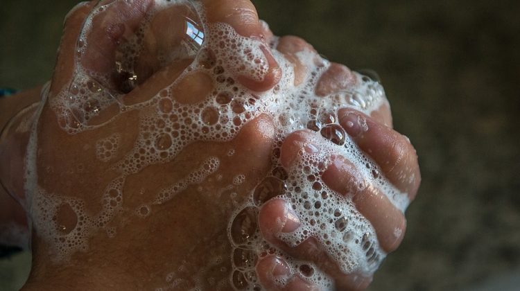 4 Tips to Minimizing Disease-Ridden Germs in Your House