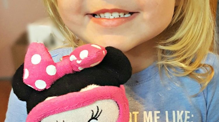Toddler Traveling Toys
