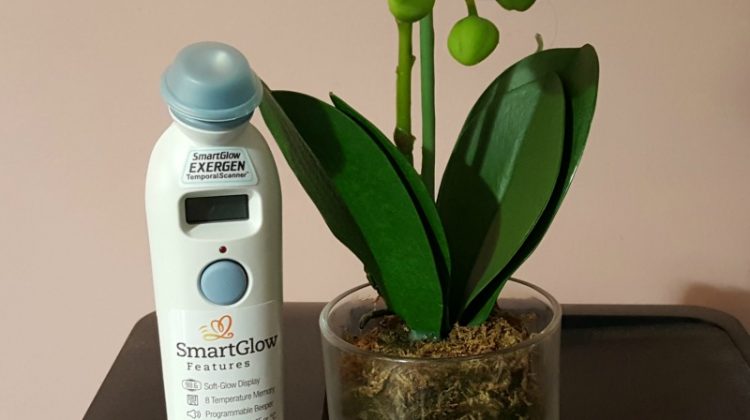 Take Their Temperature with Exergen TemporalScanner