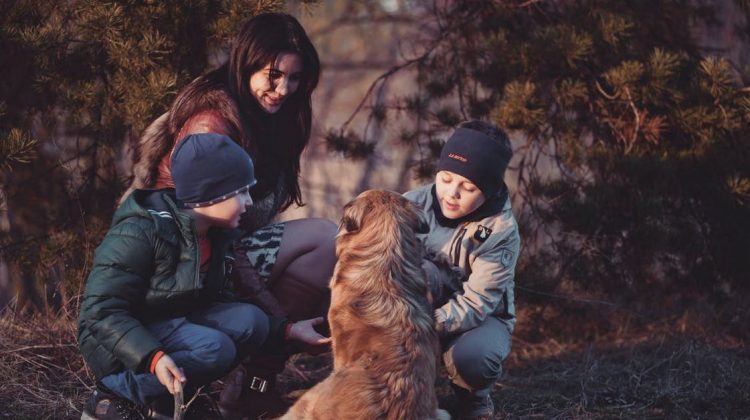 4 Areas of the Home Families Should Care for in the Fall