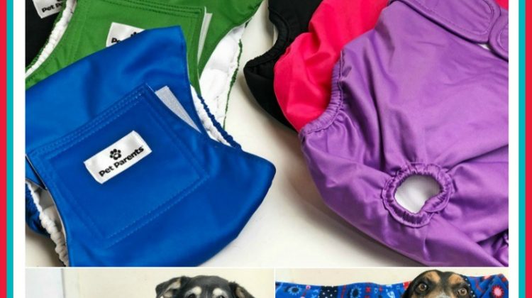 Pet Parents Dog Diapers & Belly Bands Giveaway! TWO Winners! (one gets diapers and one gets belly bands)