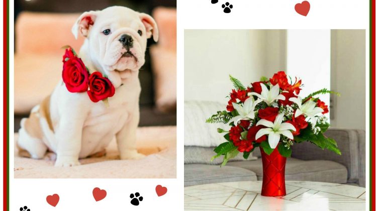 Win a $75 Teleflora Gift Code for Valentine's Day- HURRY, ends 2/10 at 8p!